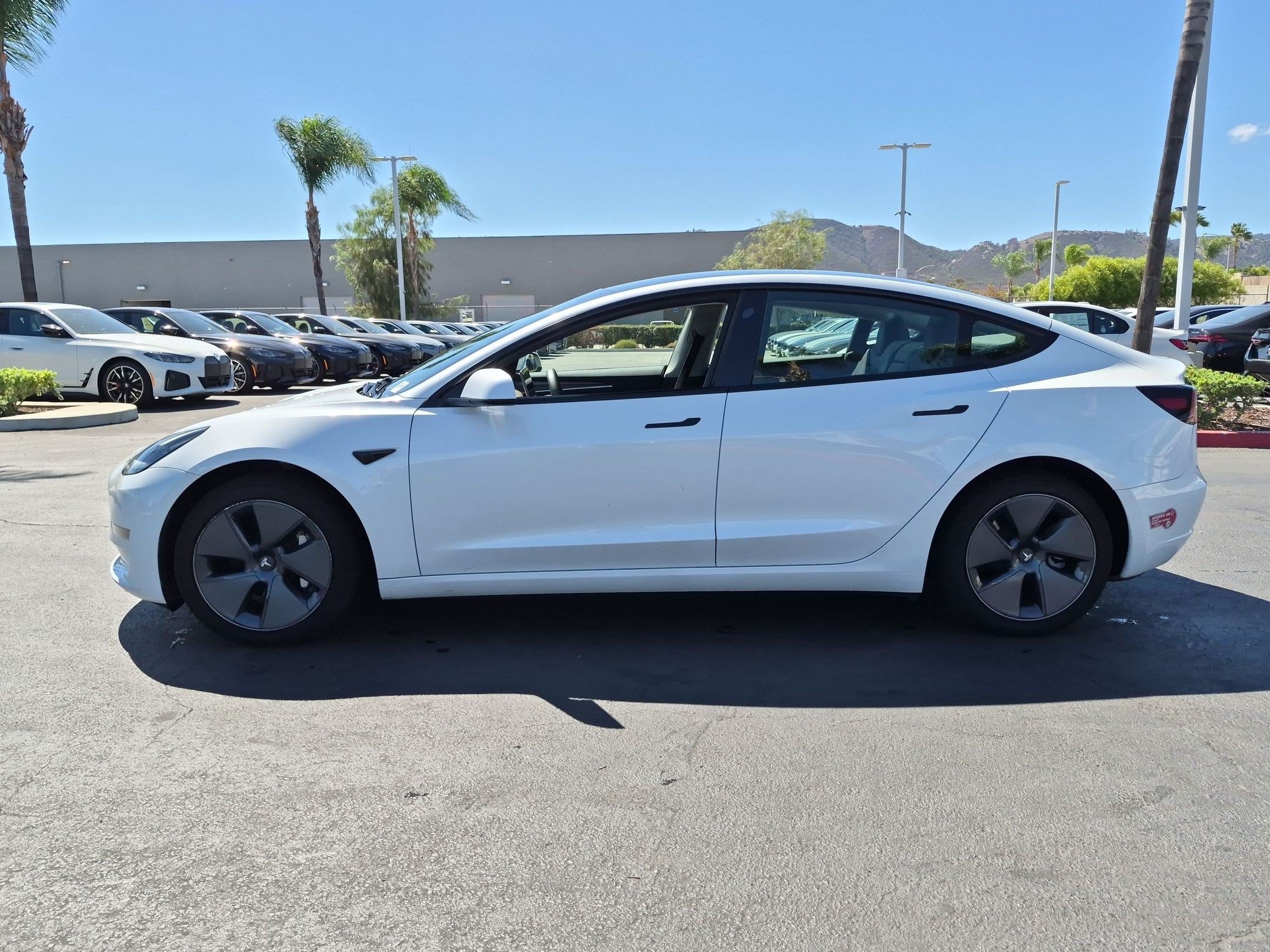 Used 2023 Tesla Model 3 Standard Range RWD image 7