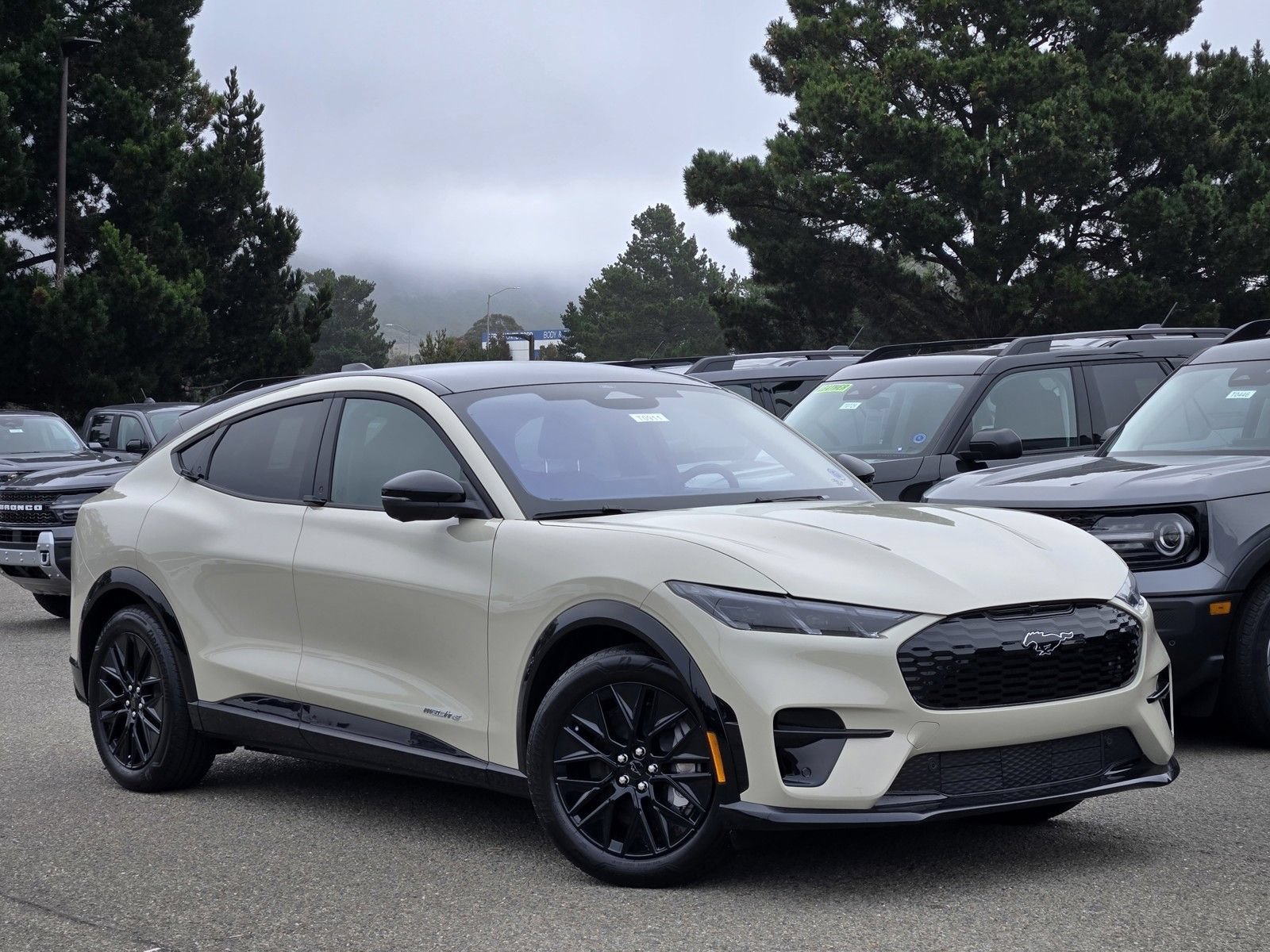 New 2026 Ford Mustang Mach-E Premium w/ Sport Appearance Package RWD image 2