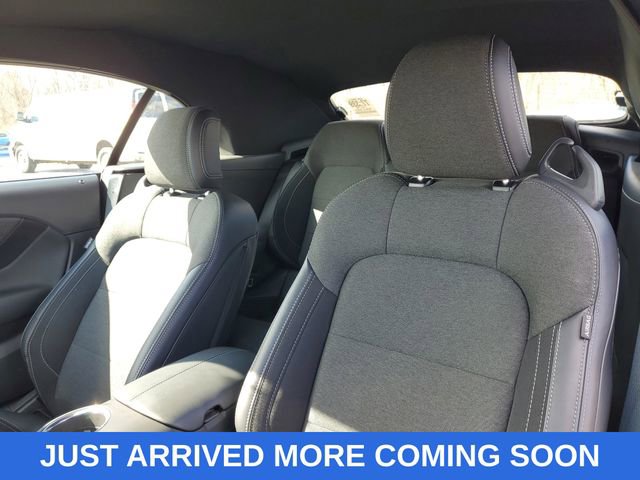 Used 2026 Ford Mustang Convertible w/ Mustang Nite Pony Package image 11