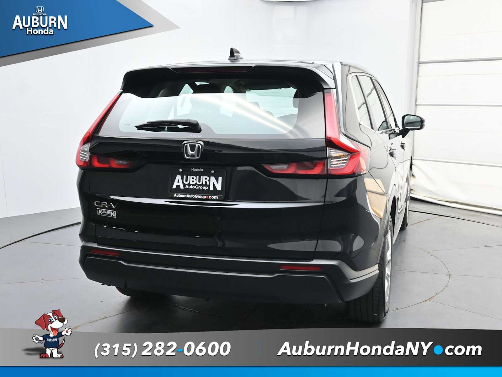 Used 2024 Honda CR-V LX image 4