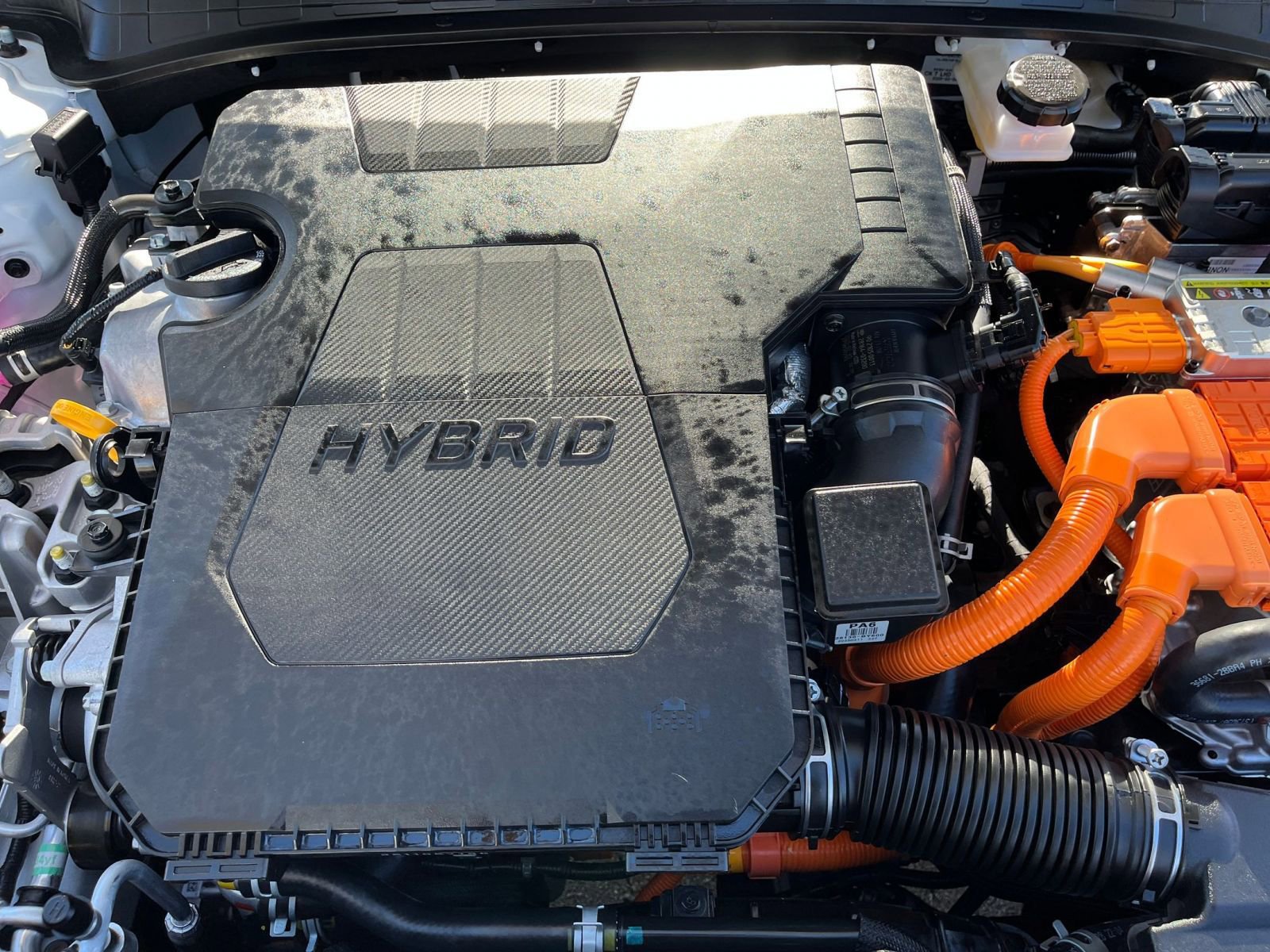 Used 2025 Hyundai Elantra Limited image 33