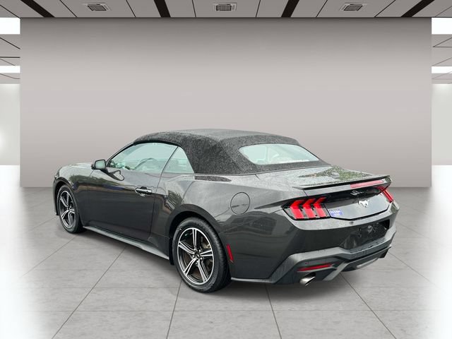 Used 2024 Ford Mustang Premium RWD image 6