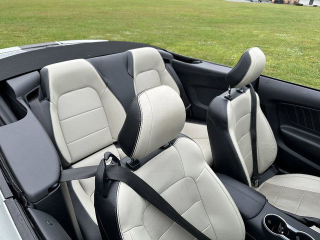Used 2019 Ford Mustang Premium RWD image 13