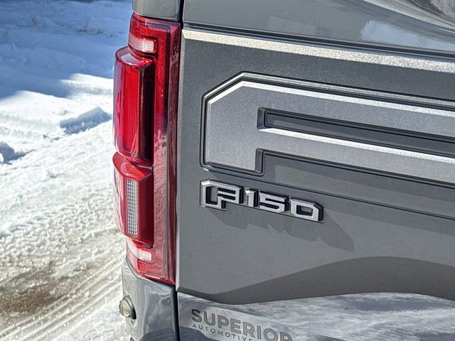 Used 2020 Ford F150 Raptor w/ Equipment Group 802A Luxury image 6