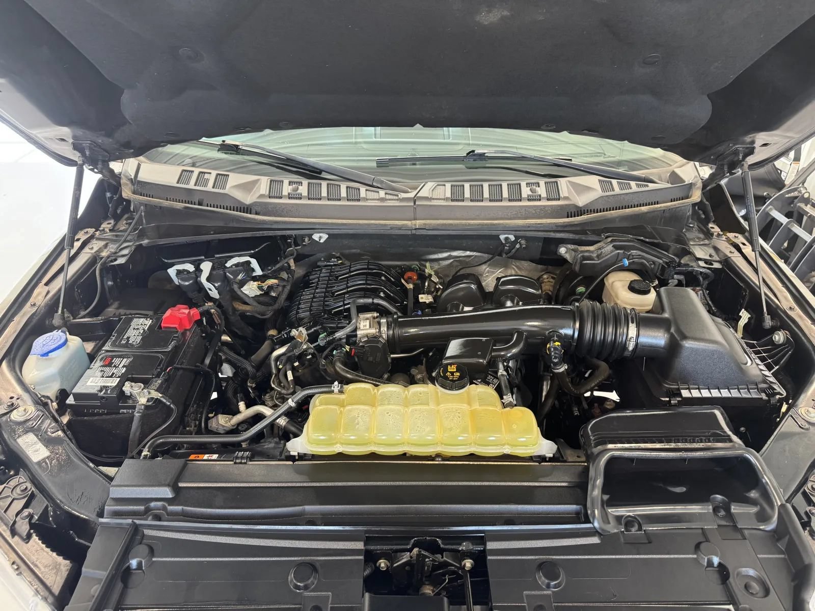 Used 2019 Ford F150 XLT w/ Equipment Group 302A Luxury AWD/4WD image 39