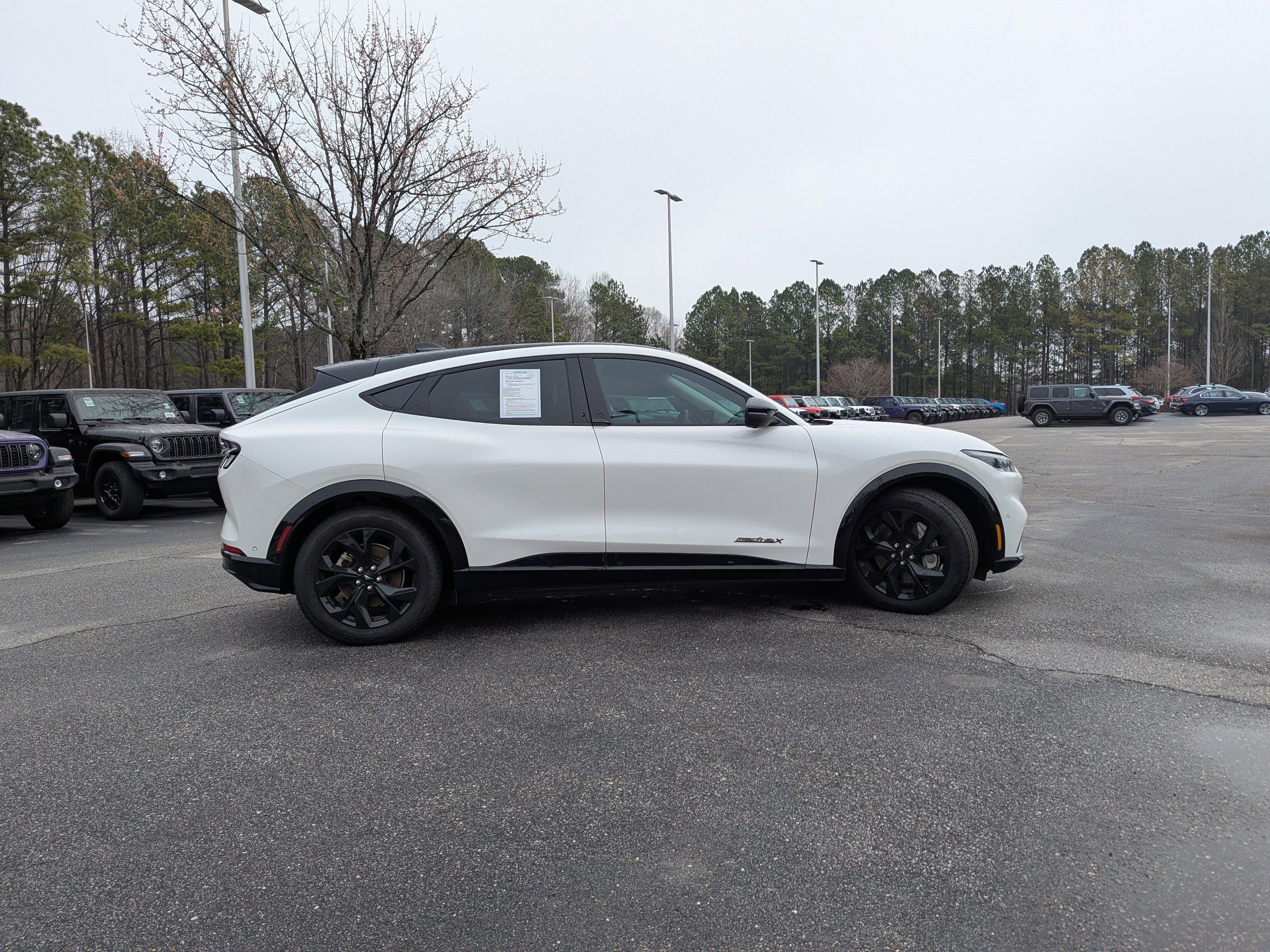 Used 2023 Ford Mustang Mach-E Premium w/ Mustang Nite Pony Package image 4