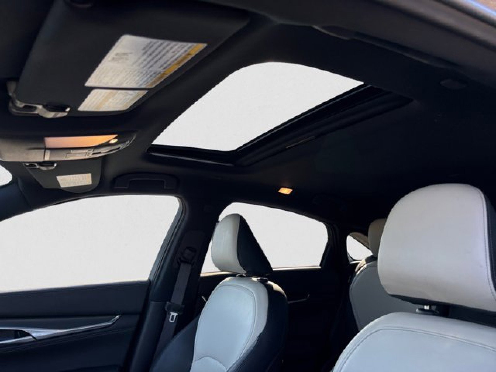 Certified 2025 INFINITI QX55 Luxe image 12