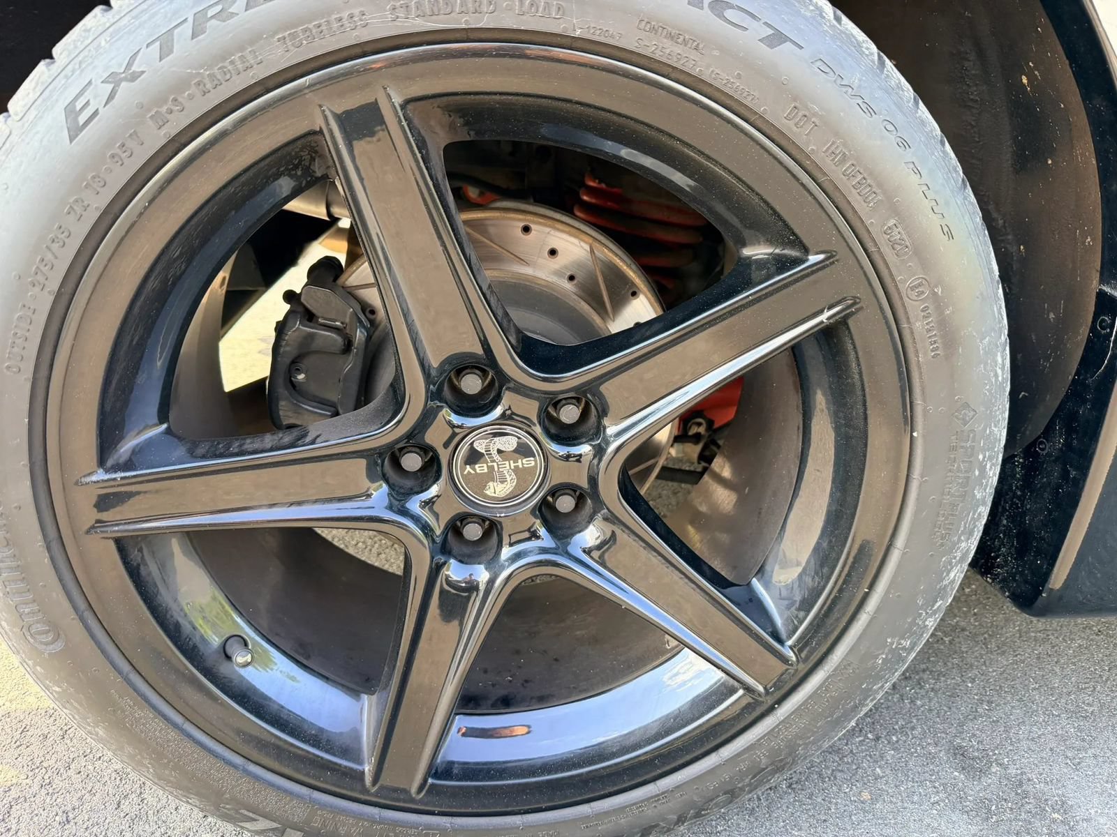 Used 1998 Ford Mustang Cobra RWD image 16
