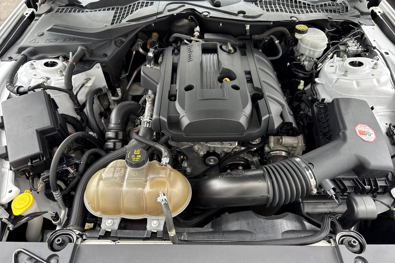 Used 2015 Ford Mustang Premium RWD image 52