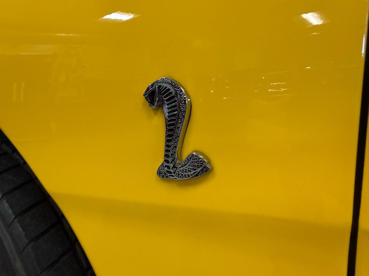 Used 1998 Ford Mustang Cobra RWD image 23