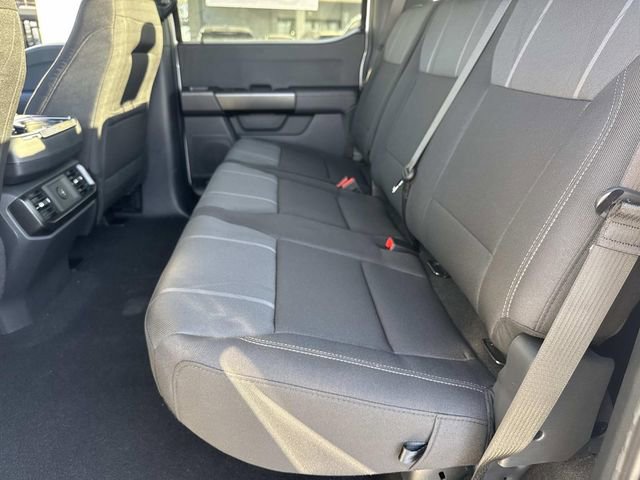 New 2026 Ford F150 STX w/ Equipment Group 200A image 14