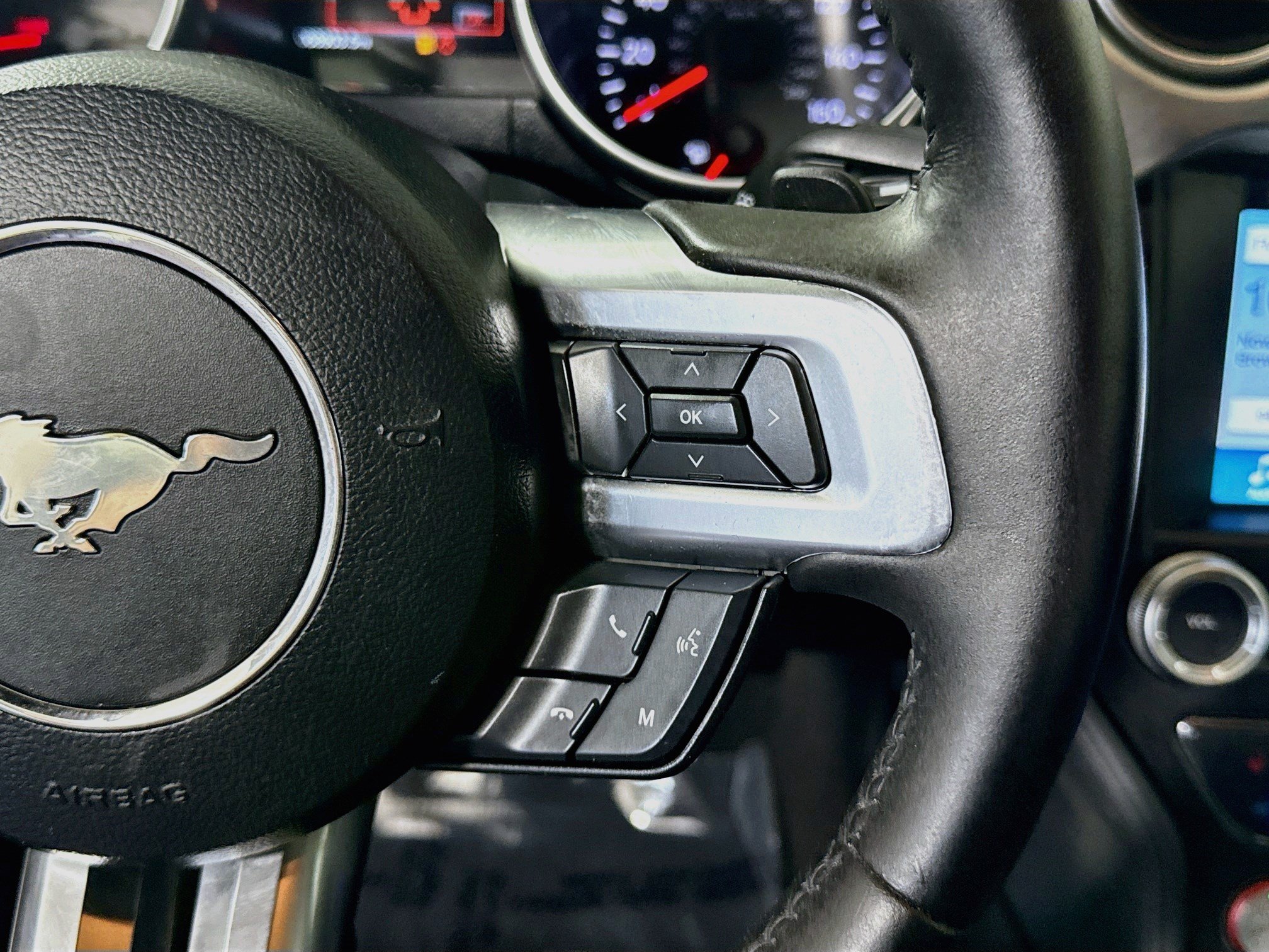 Used 2019 Ford Mustang Premium RWD image 15