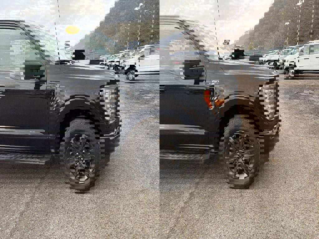 Used 2023 Ford F150 XLT w/ Equipment Group 302A High image 2