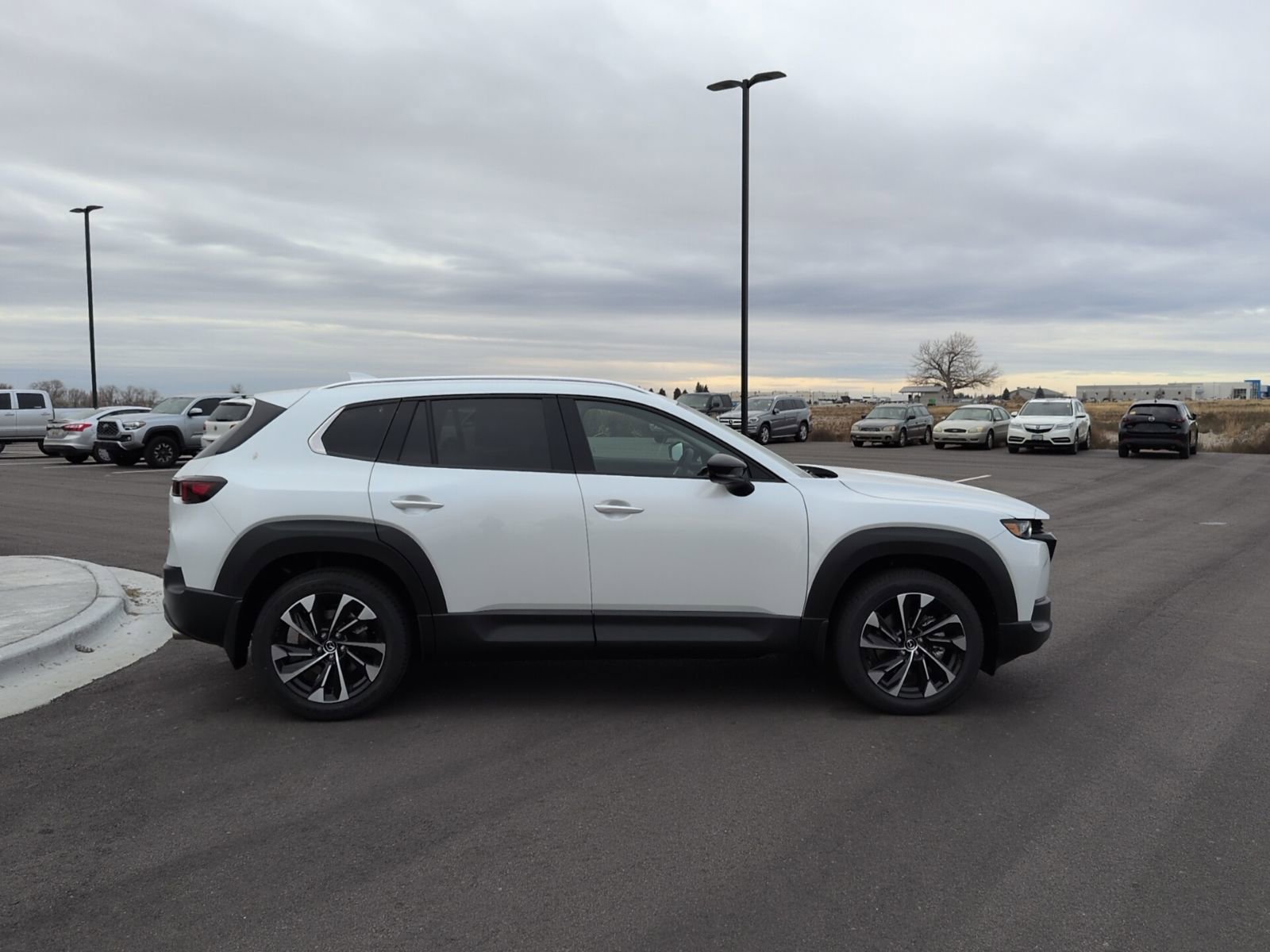 New 2026 MAZDA CX-50 2.5 Hybrid w/ Cargo Package image 8