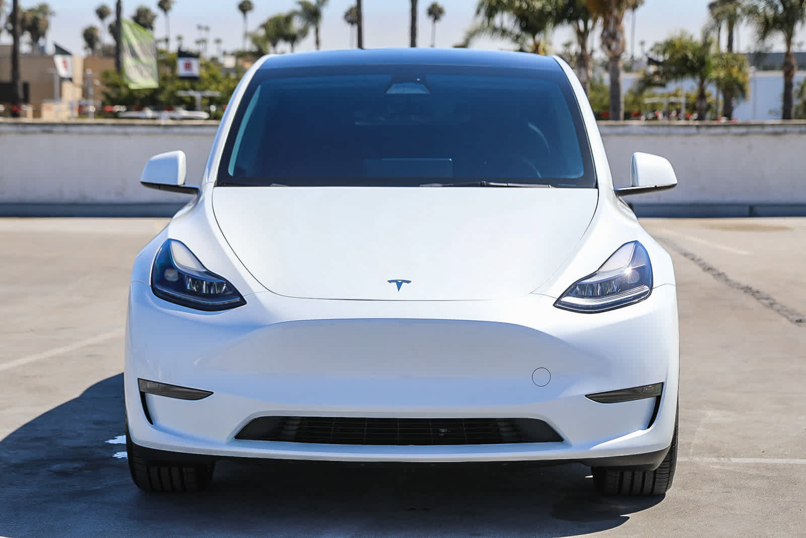 Used 2023 Tesla Model Y Performance AWD/4WD image 3
