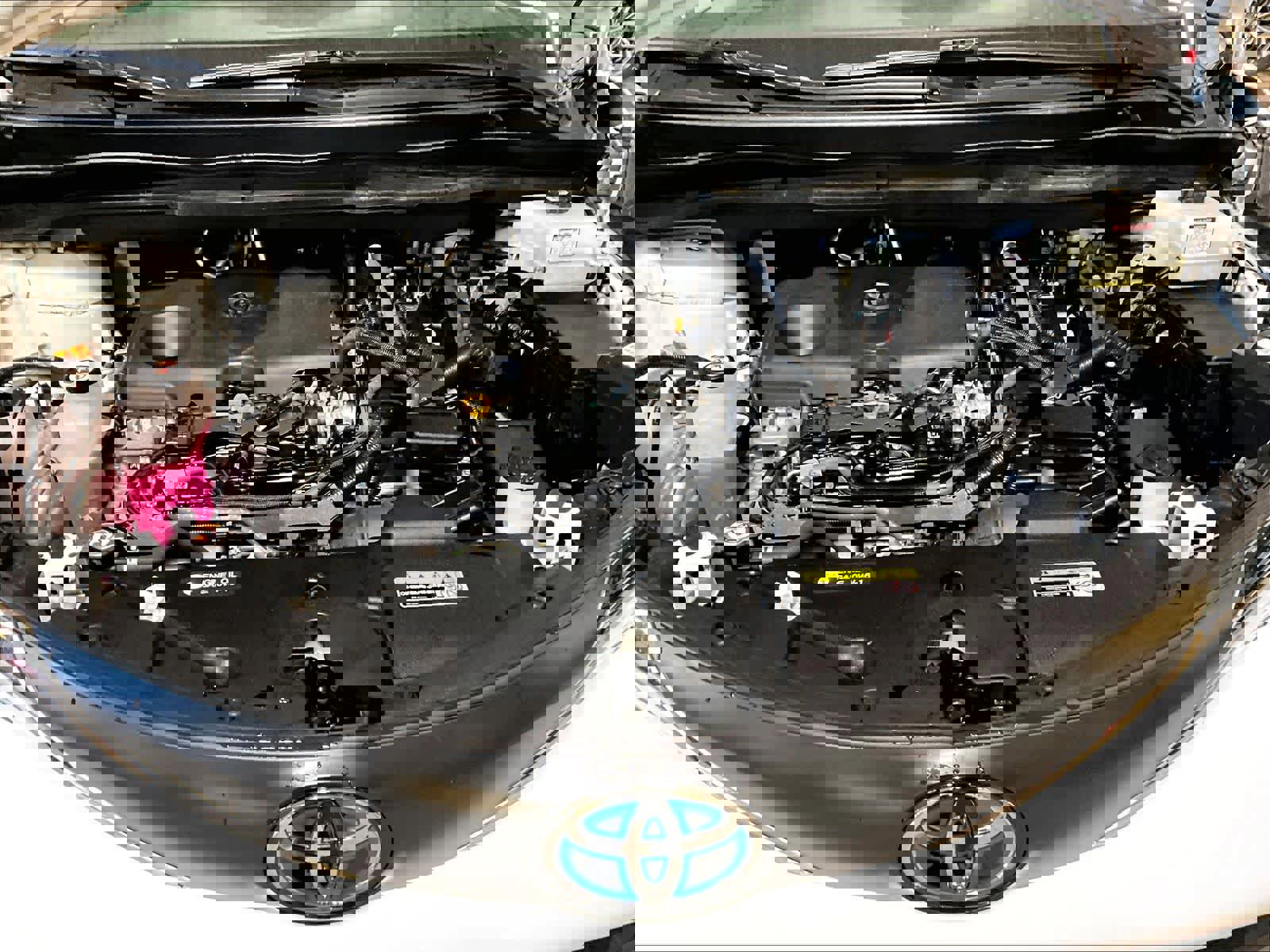 Used 2025 Toyota Sienna LE image 30