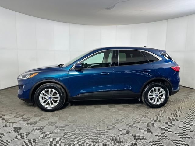 Used 2020 Ford Escape SE image 6