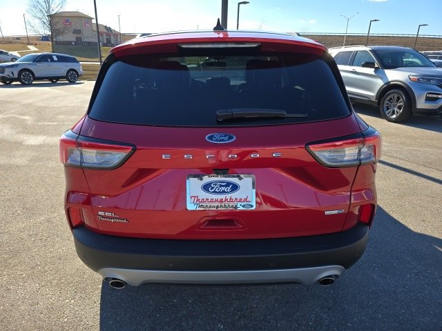 Certified 2020 Ford Escape SEL image 4