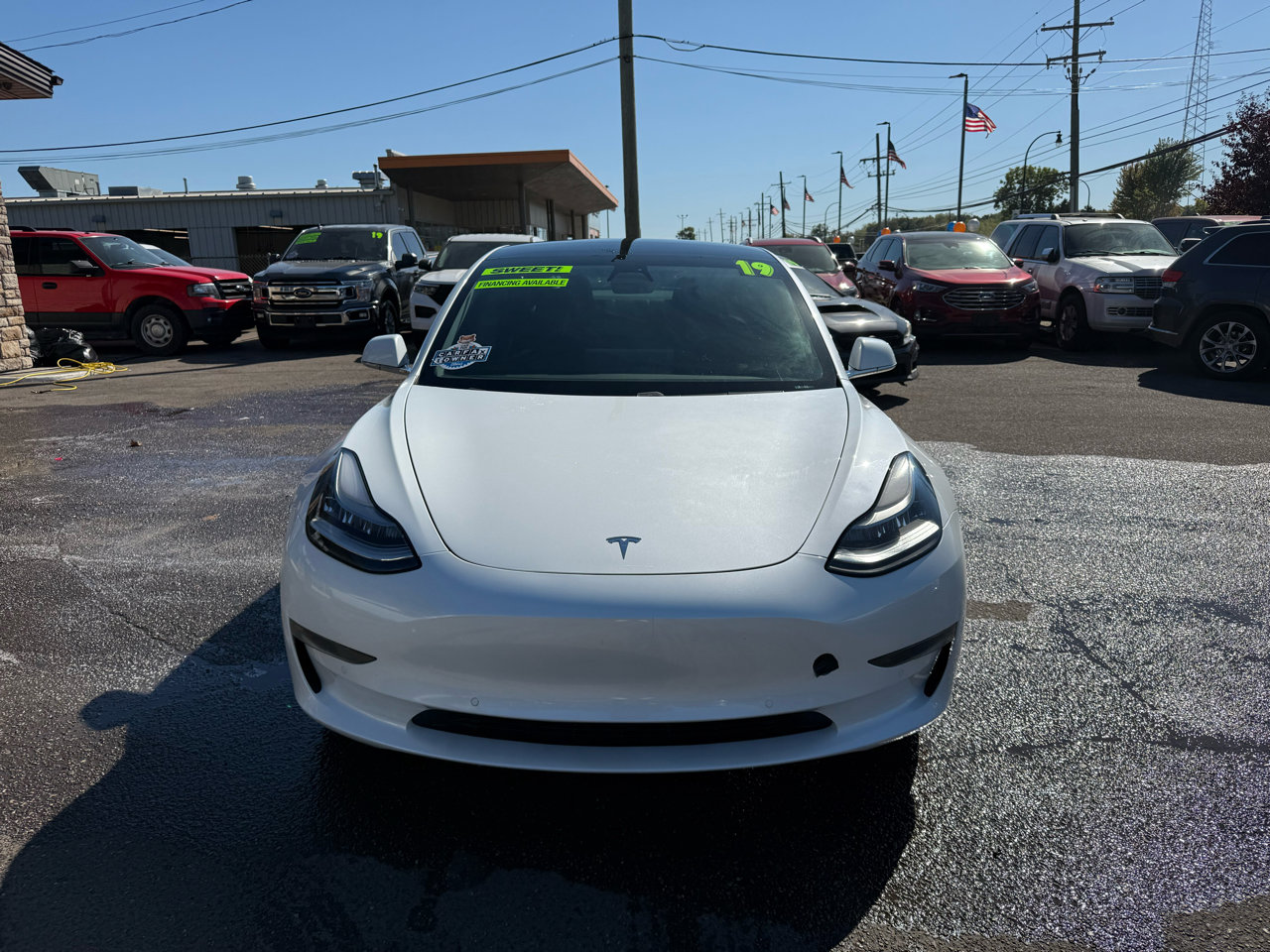 Used 2019 Tesla Model 3 Standard Range Plus image 2