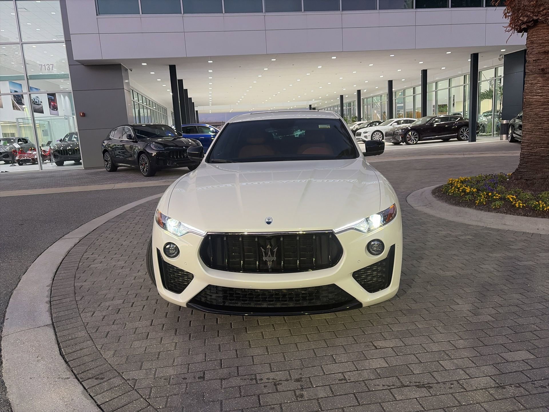 Used 2022 Maserati Levante Modena image 2