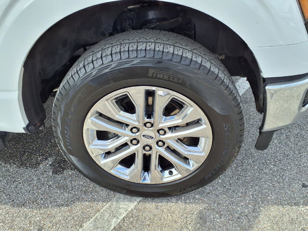 Used 2025 Ford F150 XLT w/ Equipment Group 303A High AWD/4WD image 9