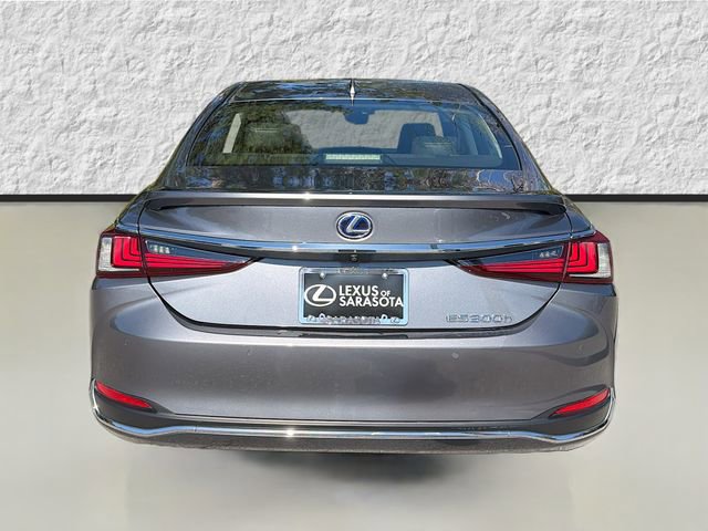 Used 2019 Lexus ES 300h w/ Premium Package image 4