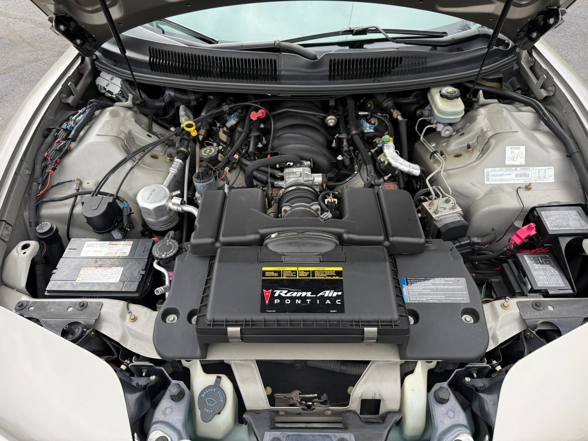 Used 1999 Pontiac Firebird Formula image 32