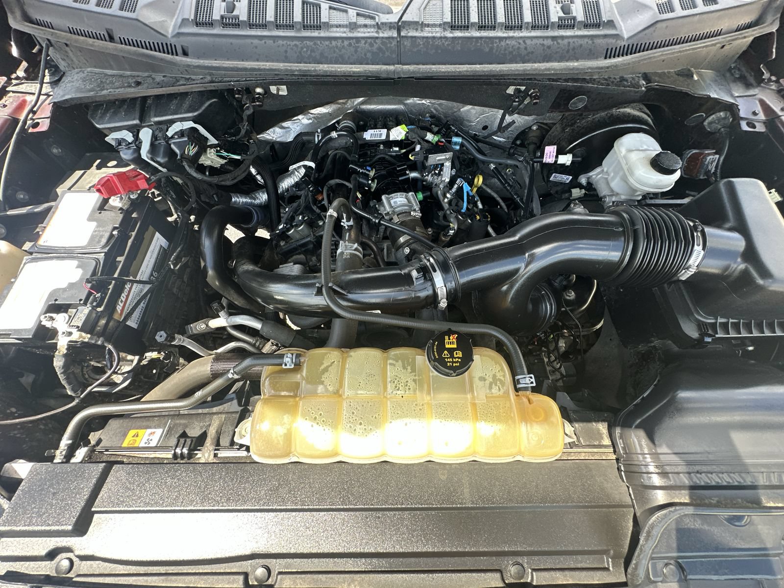 Used 2019 Ford F150 XLT w/ Equipment Group 302A Luxury RWD image 33