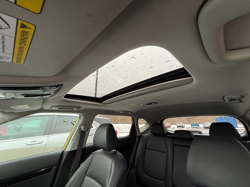 Used 2022 Kia Seltos SX w/ Sunroof Package image 18