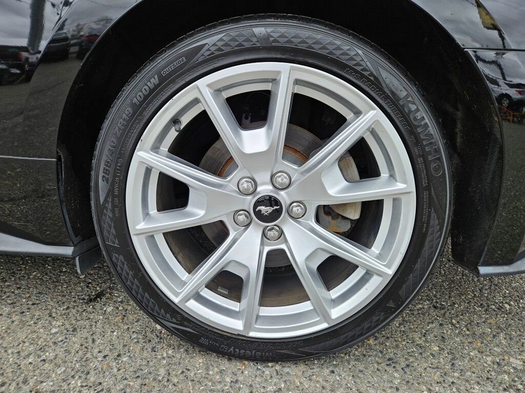 Used 2015 Ford Mustang Premium w/ Equipment Group 201A image 23