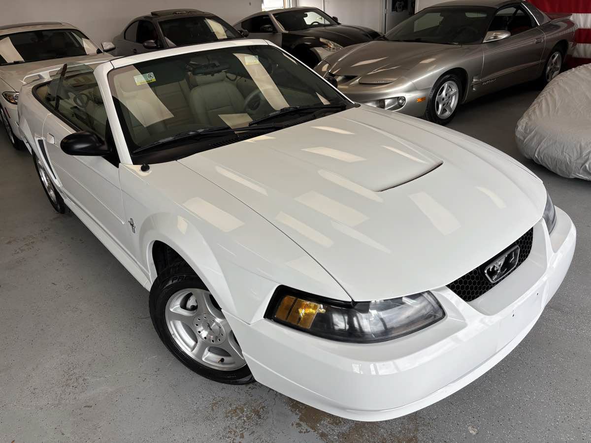 Used 2003 Ford Mustang Convertible RWD image 11