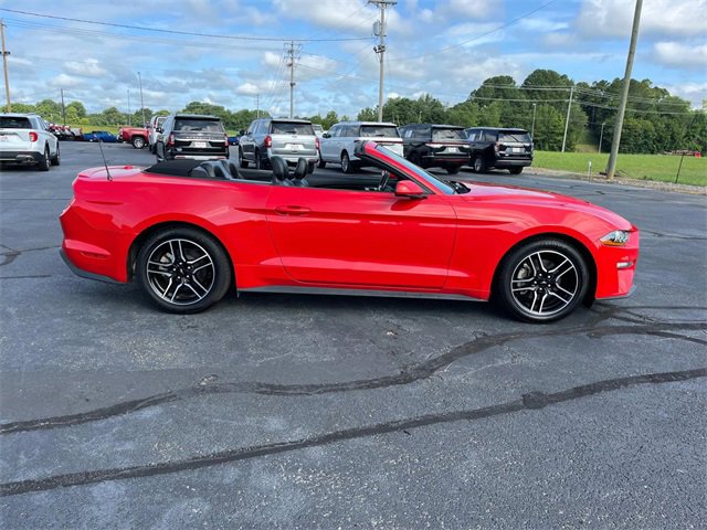 Certified 2022 Ford Mustang Premium image 3