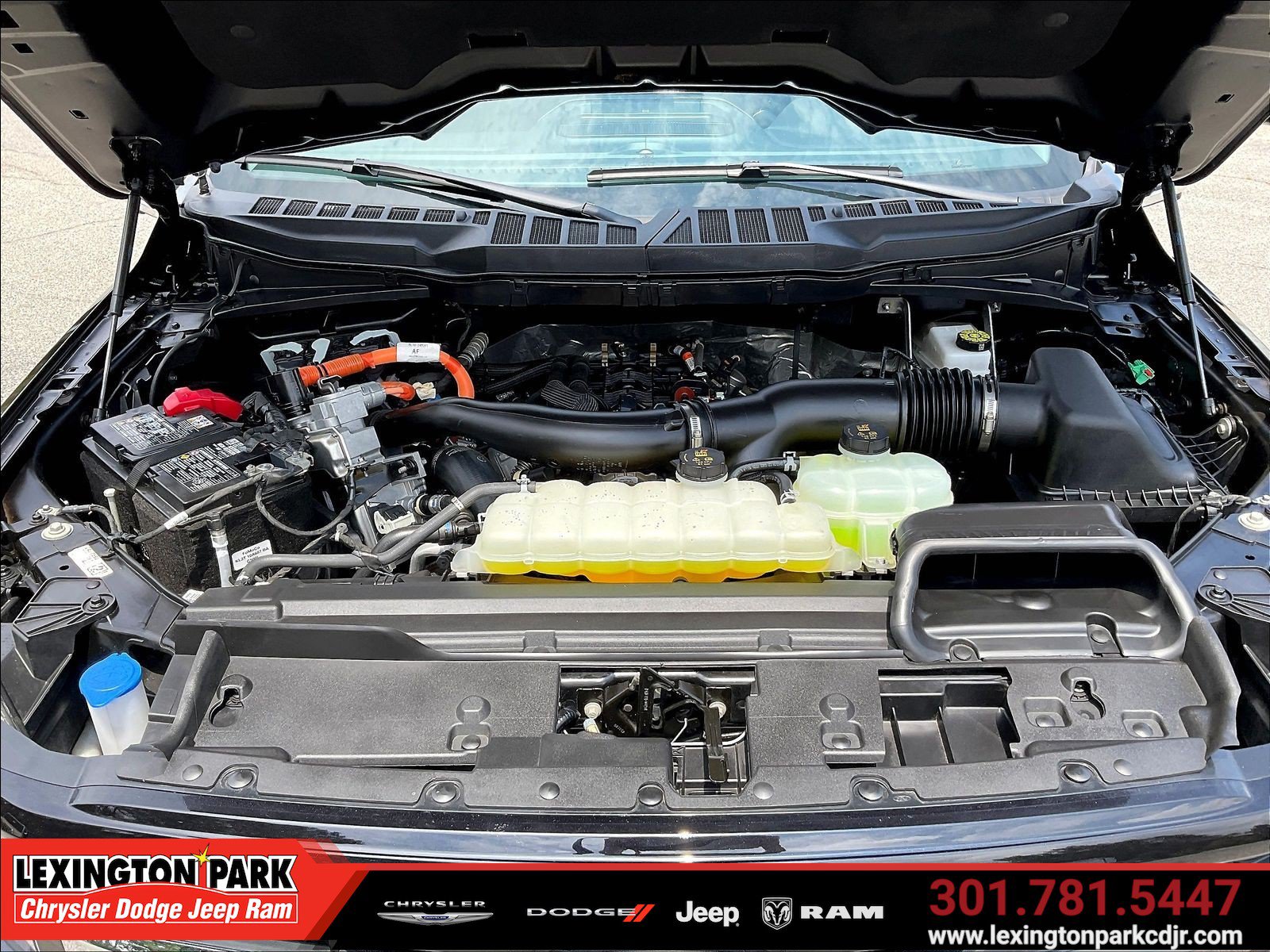 Used 2025 Ford F150 XLT w/ Equipment Group 302A MID AWD/4WD image 30