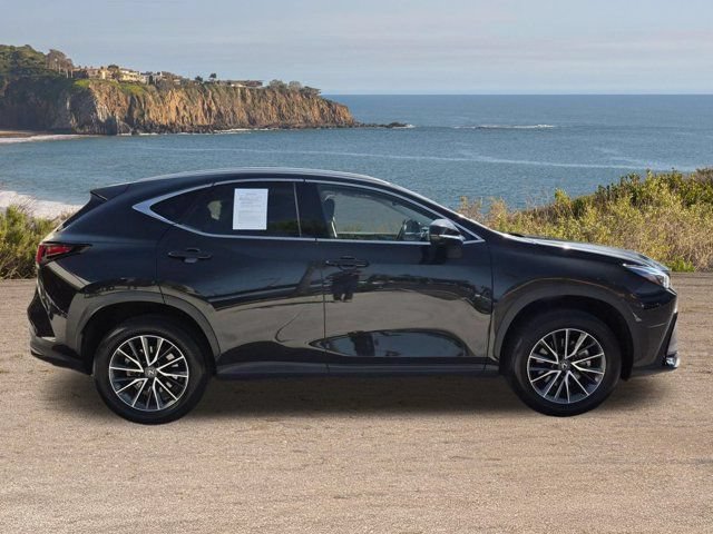 Used 2025 Lexus NX 350h AWD w/ Cold Area Package image 4
