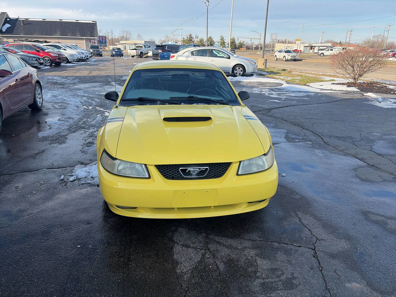 Used 2001 Ford Mustang GT image 8