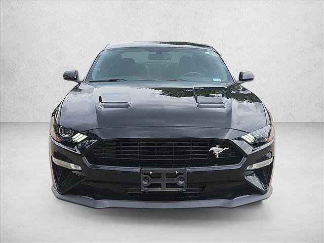 Used 2019 Ford Mustang GT Premium w/ Equipment Group 401A RWD video 2