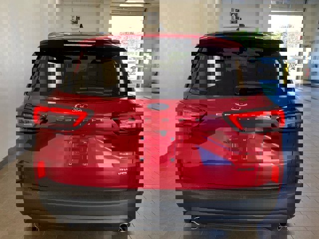 New 2025 Ford Escape ST-Line w/ Cold Weather Package image 6
