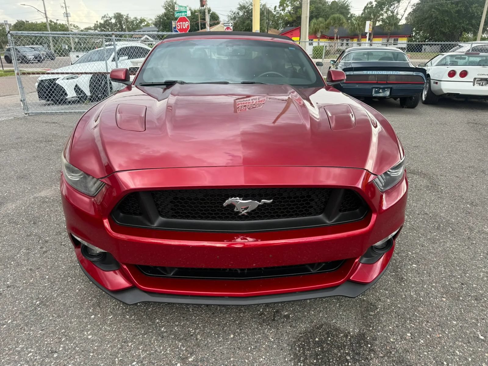 Used 2016 Ford Mustang GT Premium w/ Equipment Group 401A RWD image 2