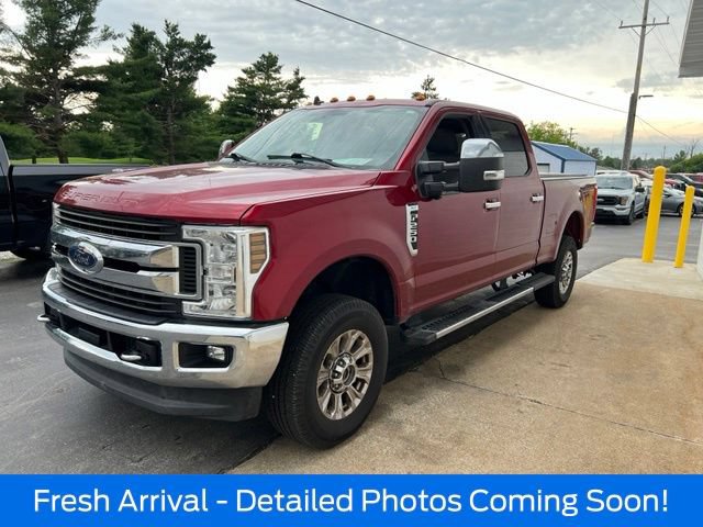 Used 2019 Ford F250 XLT w/ XLT Premium Package AWD/4WD image 10