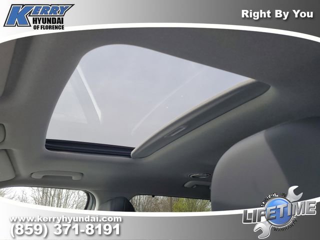 New 2026 Hyundai Palisade Limited image 17