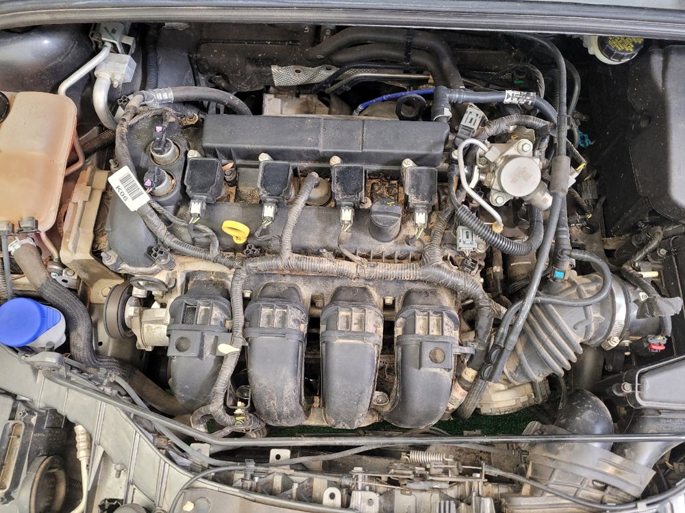 Used 2016 Ford Focus SE w/ SE Cold Weather Package image 30