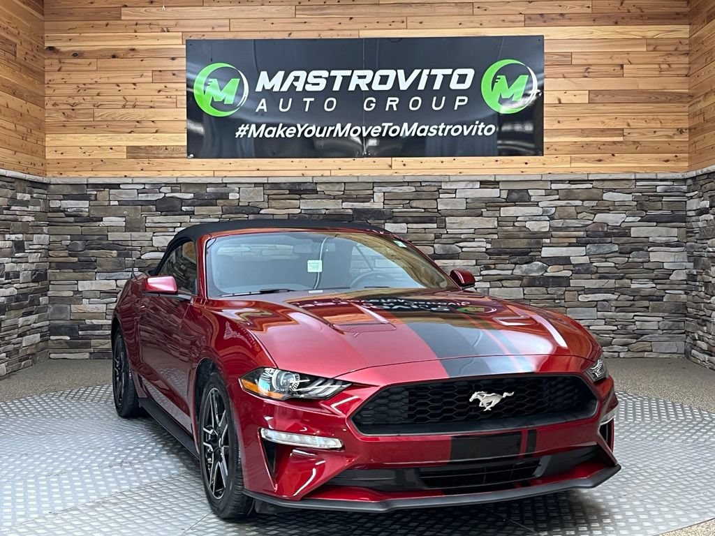 Used 2019 Ford Mustang Convertible w/ Equipment Group 101A RWD image 3