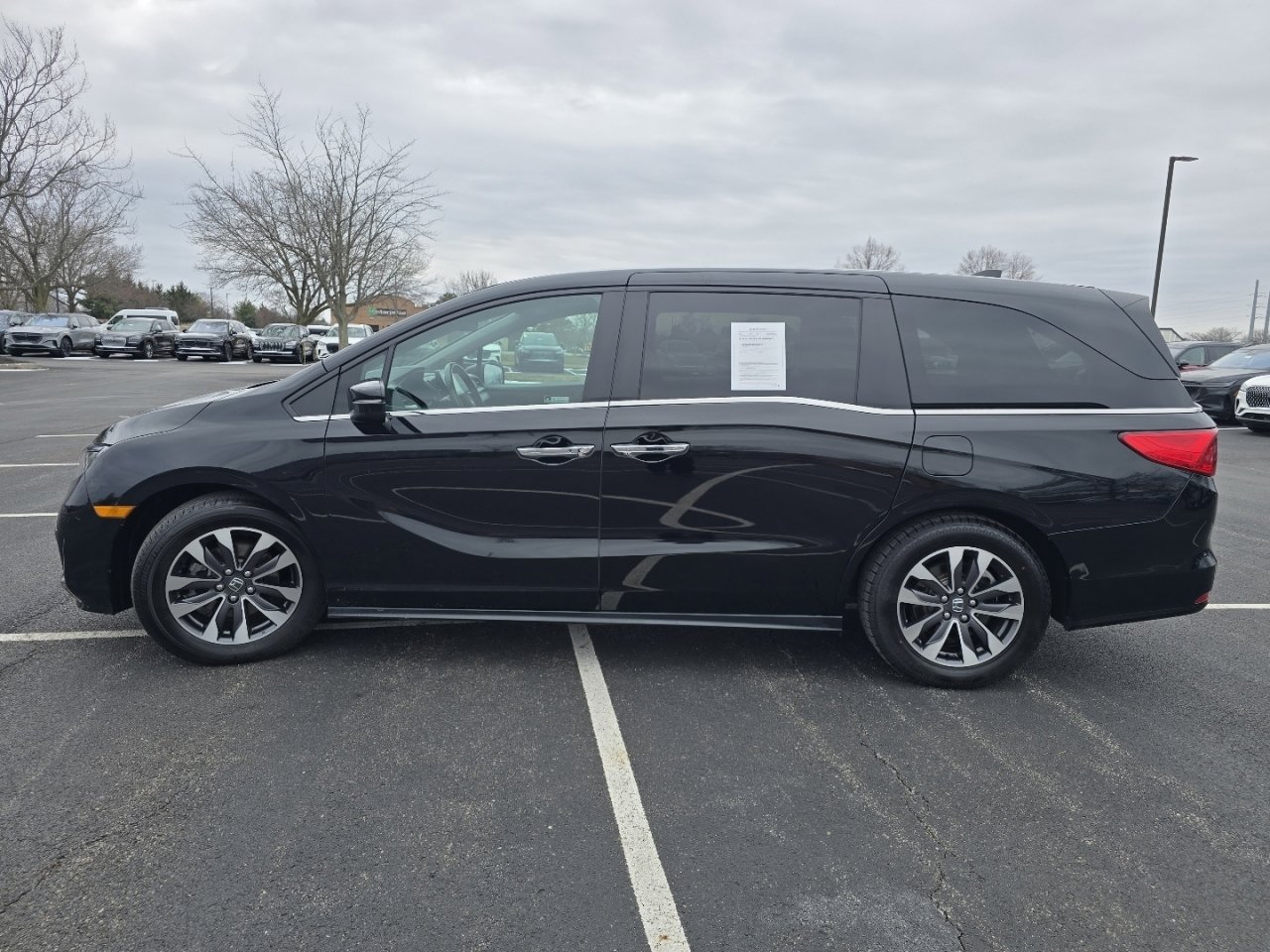 Certified 2024 Honda Odyssey EX-L image 13