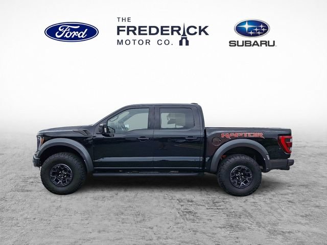 Used 2022 Ford F150 Raptor w/ Equipment Group 801A High AWD/4WD image 7