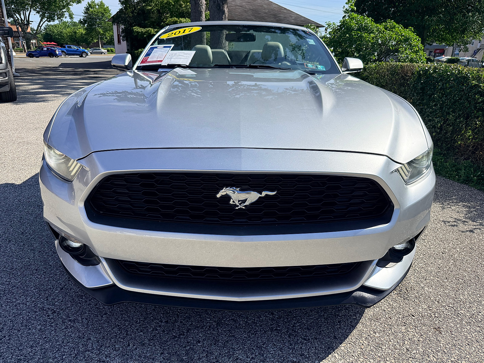 Used 2017 Ford Mustang Premium RWD image 10