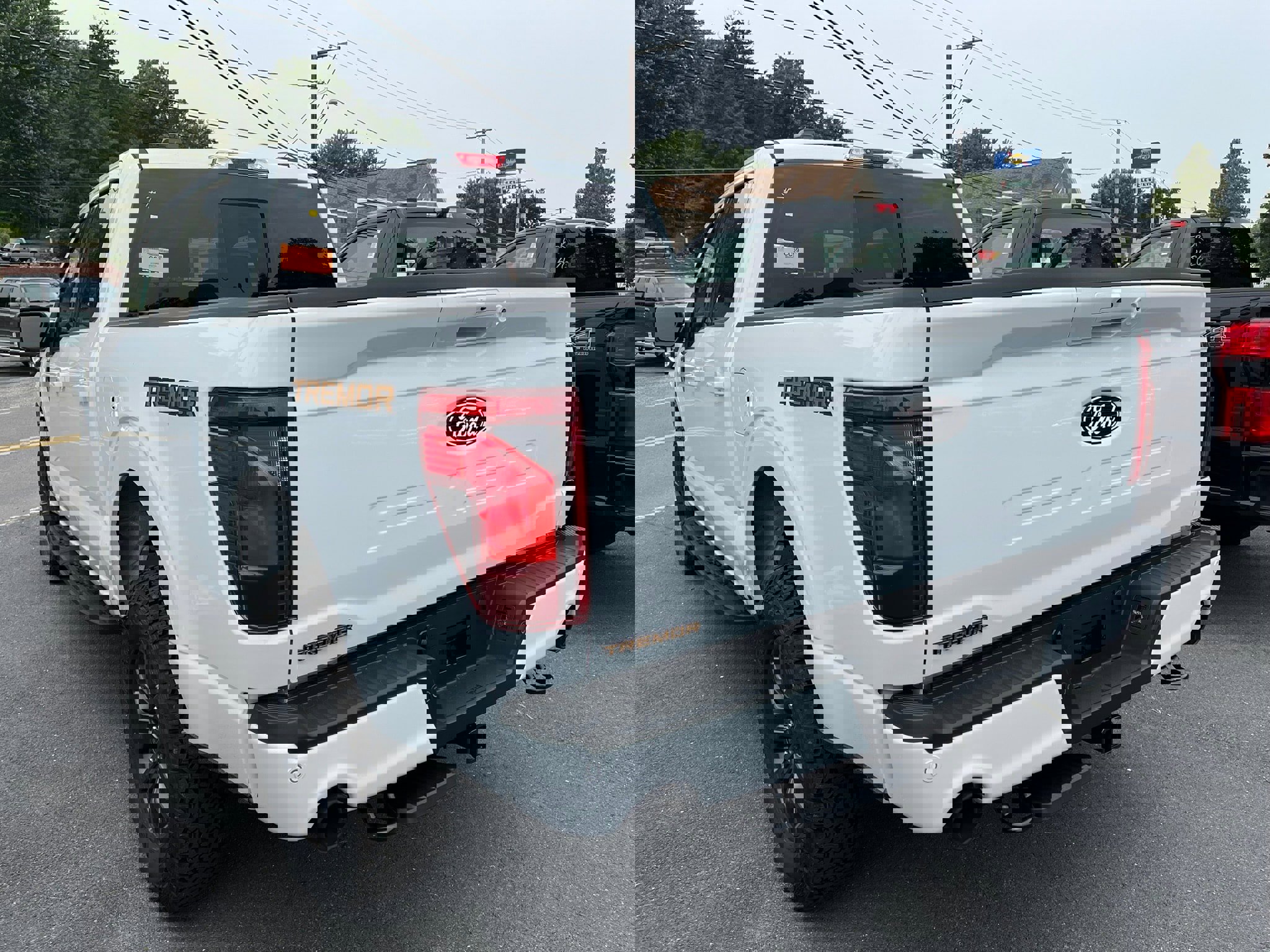 New 2025 Ford F150 Tremor image 10