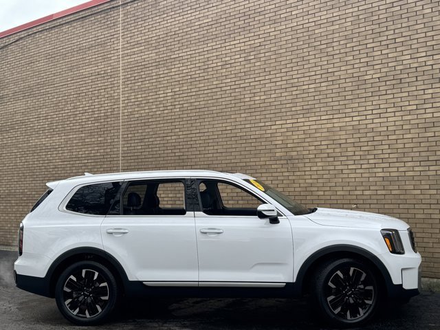 Used 2024 Kia Telluride SX Prestige image 4