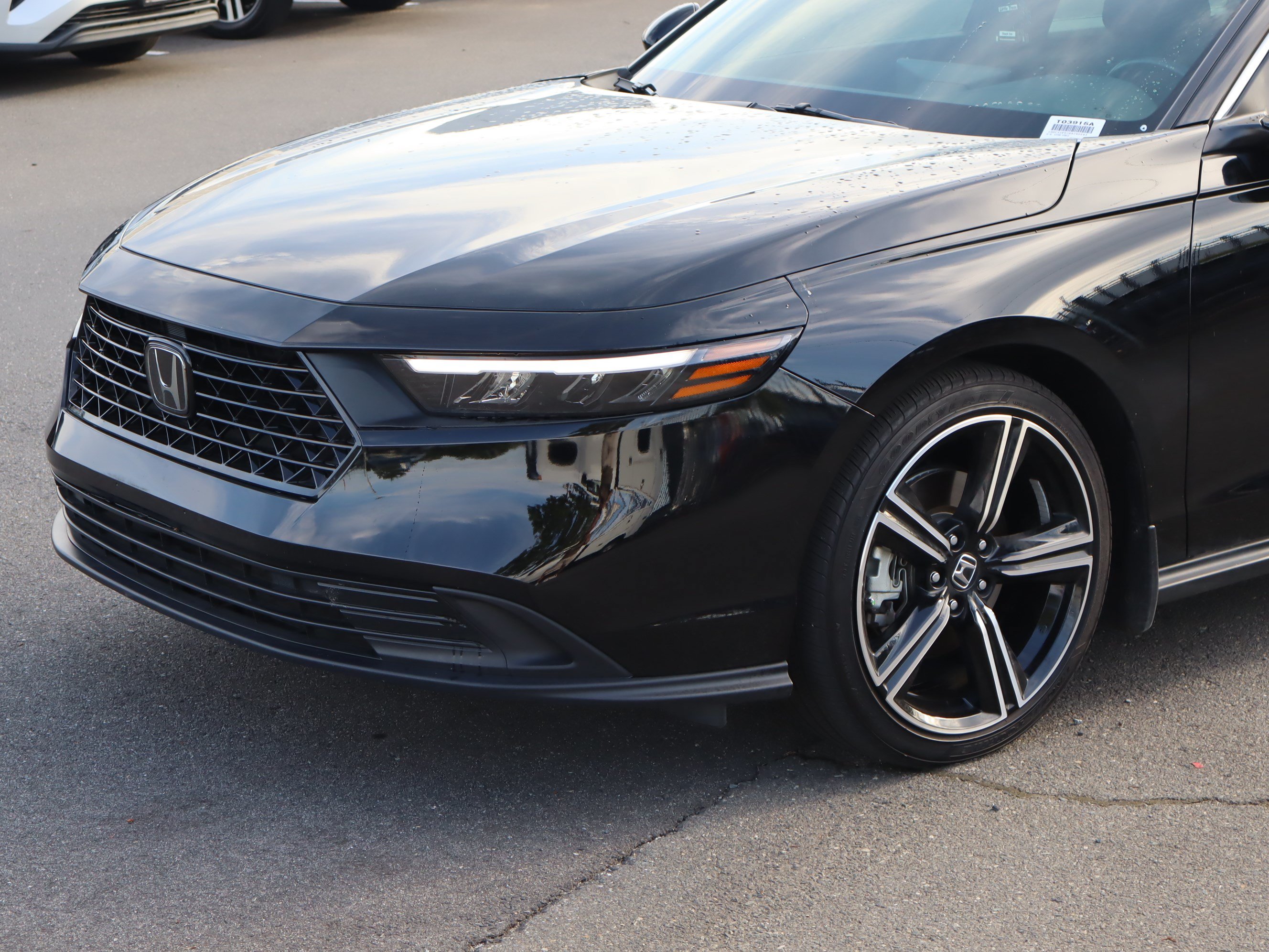 Used 2025 Honda Accord Sport image 6
