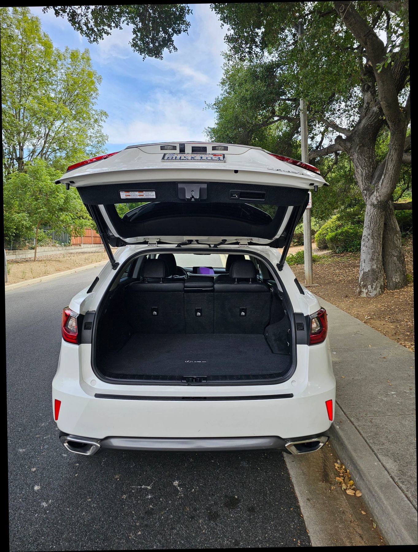 Used 2019 Lexus RX 350 F Sport image 15