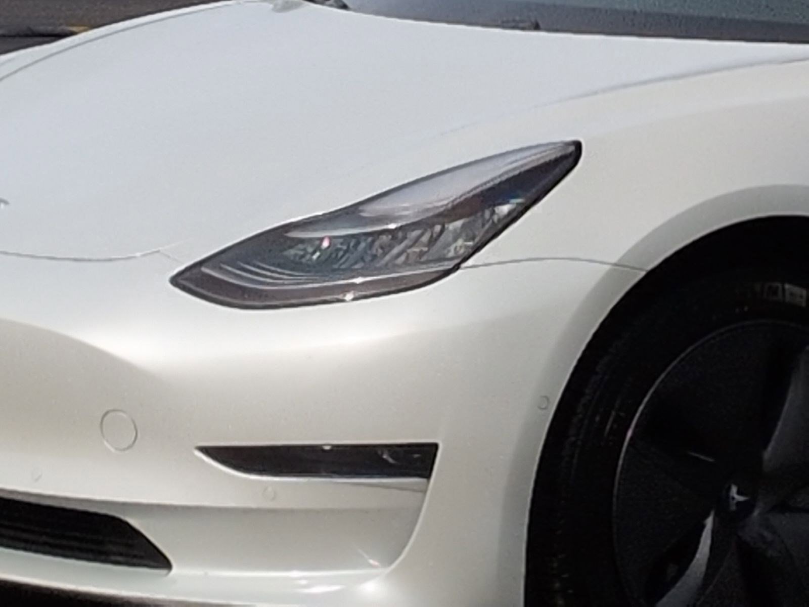 Used 2019 Tesla Model 3 Standard Range Plus image 6